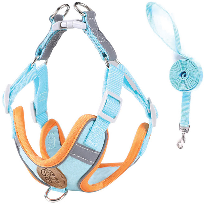 멍냥 반려동물 야간 빛 반사 세이프 하네스 + 리드줄 세트, 블루, 1개