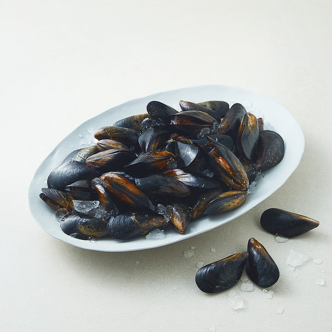 아라보감 마산 생물 홍합 (냉장), 1개, 3kg