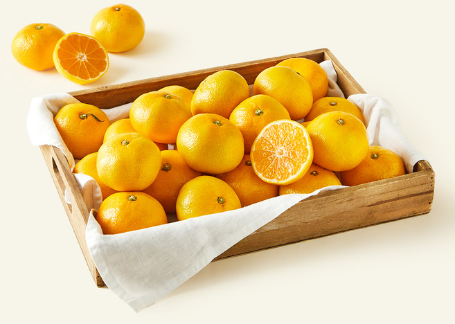 새벽시장 가락시장 감귤, 1개, 5kg(대과)