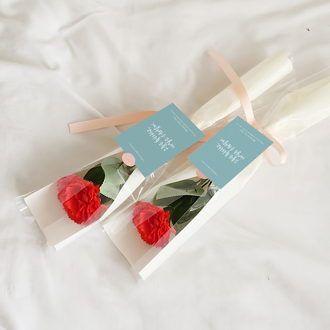 아스파시아 메시지 2p + 조화 플르 카네이션 한송이 비누 꽃다발 2p 세트 오늘은 축하하고 내일은 응원할게, 레드, 2개