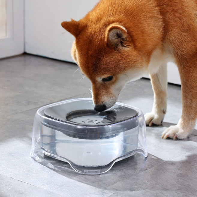 DING DONG PET 寵物浮動式大容量透明過濾飲水器, 灰色, 1個