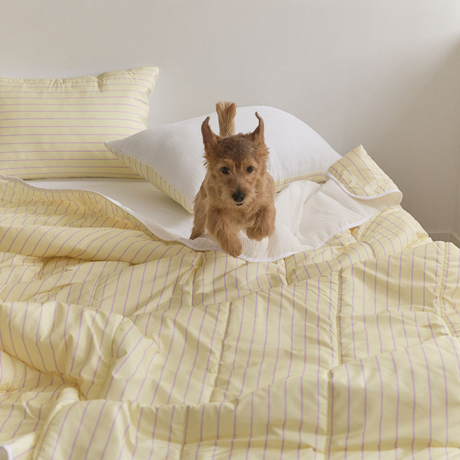 깃든 시어서커 반려동물 나란히 여름이불