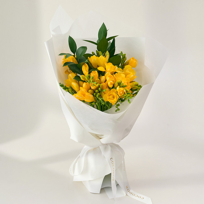 농업회사법인 주식회사 코코도르팜 생화 프리지아 꽃다발, 혼합색상