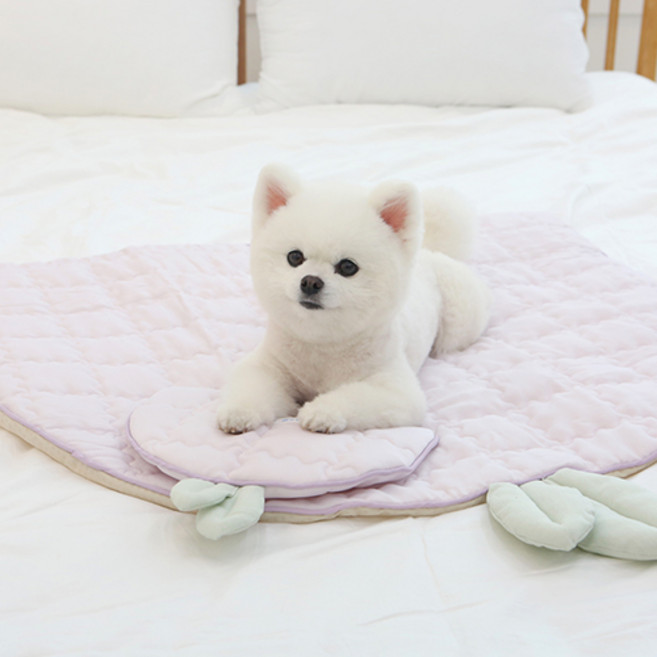 이츠독 반려동물 인견 후르츠 쿨링 매트, 포도, 1개