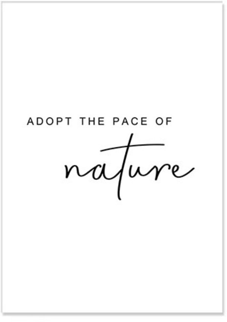 파라다이소 PDS홈데코 깊은 바다의 숨결 콜렉션 인테리어 캔버스 포스터 L