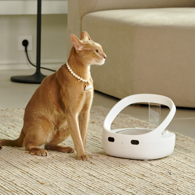 pepe 반려동물 RFID 매칭 자동 급식기, 1개, 400ml