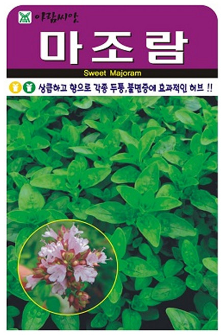 아람종묘 허브 마조람 씨앗 1000p, 1개