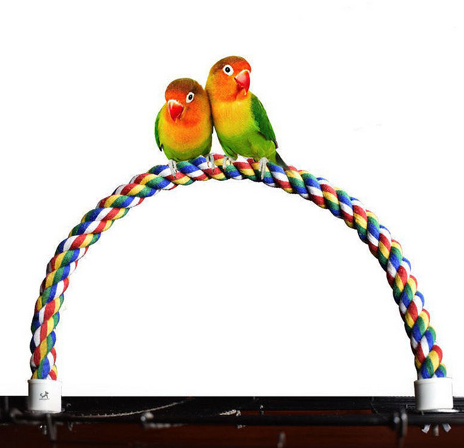딩동펫 앵무새 알록달록 철사 로프 횟대, 혼합색상, 1개