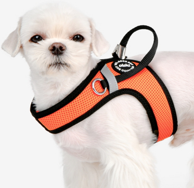 올치 강아지 콤비 히든 하네스 V 산책 목 줄 HV6049, 오렌지, 1개
