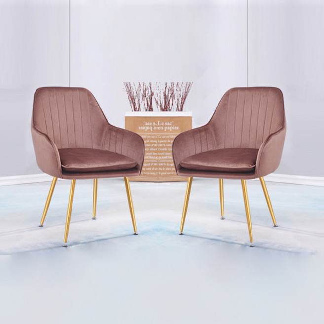 노아가구 루비 골드 체어 2p, 핑크, 2개