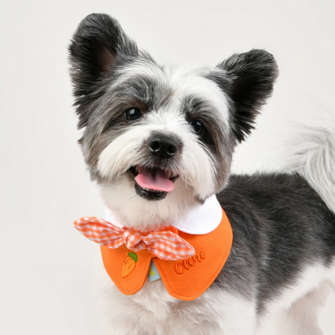 올치 반려동물 소형견용 귀여운 과일 자수 리본 턱받이 케이프, 오렌지, 1개