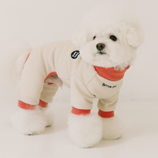 펫츠랜드 강아지 버터 소프트 올인원, 베이지, 1개