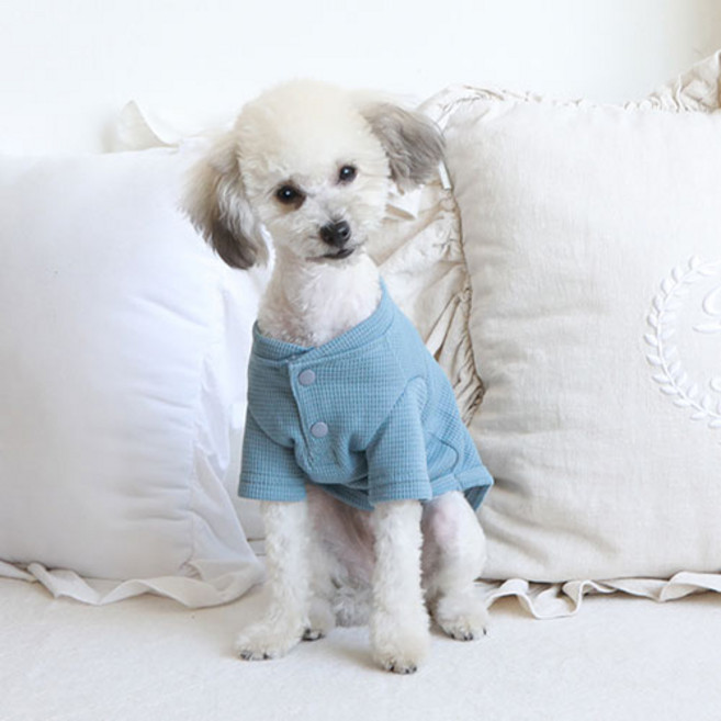 쁘띠도그 반려동물 투버튼골지티 DT070, 블루, 1개