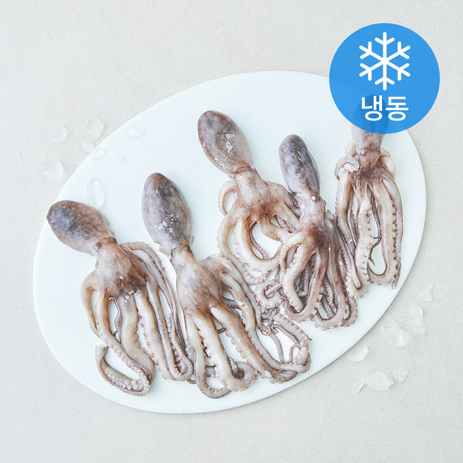 올프레시 살아있을때 얼린낙지 (냉동), 1개, 600g(5~7미)