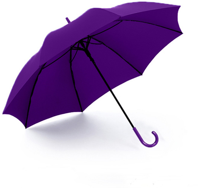 WEEVE 모던베이직 컬러풀 자동 장우산