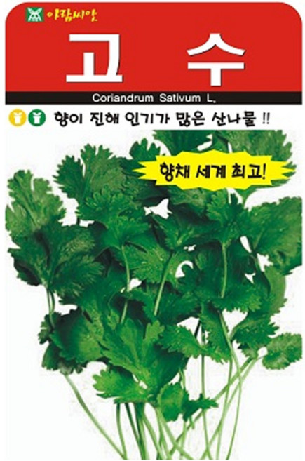 아람종묘 고수 씨앗 300립, 1개