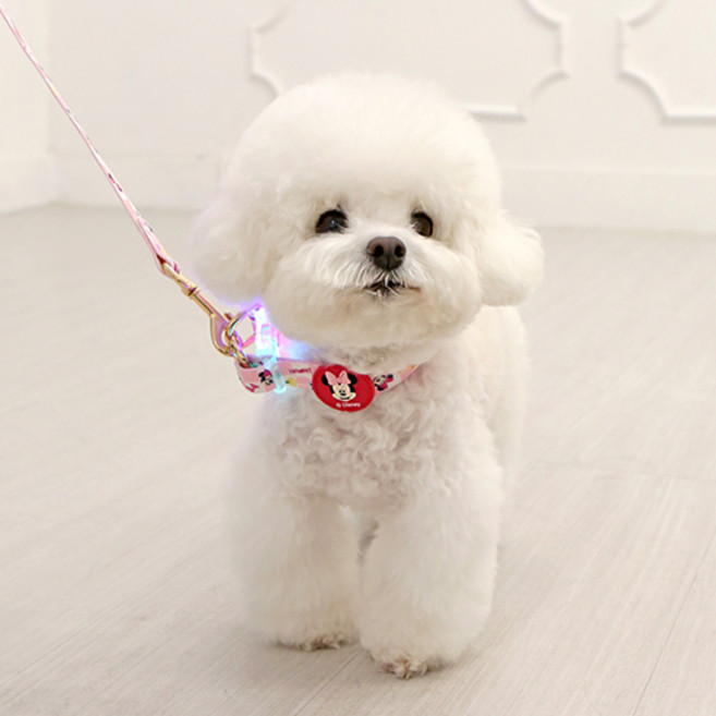 이츠독 강아지 디즈니 컴포트 LED 목줄, 미니, 1개