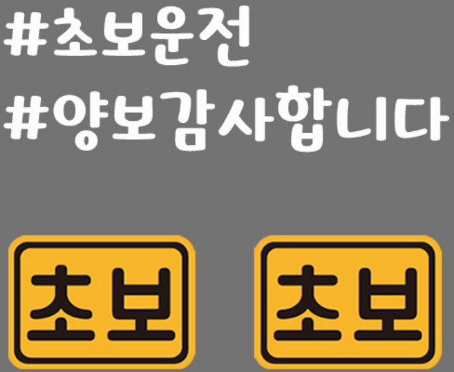 초보운전 반사 자석스티커 직사각 소형 2p + 반사시트지 세트, 31, 1세트