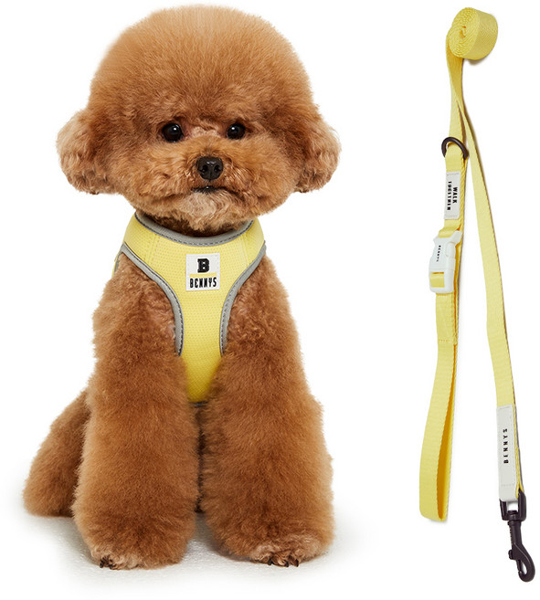 베니즈 베이직 하네스 + 리드줄, 옐로우, 1세트