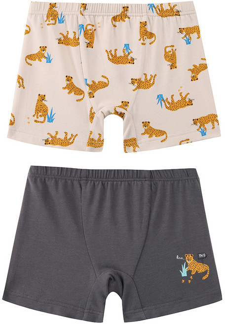 뎀뎀 남아용 핸썸 치타 드로즈 팬티 2종 세트