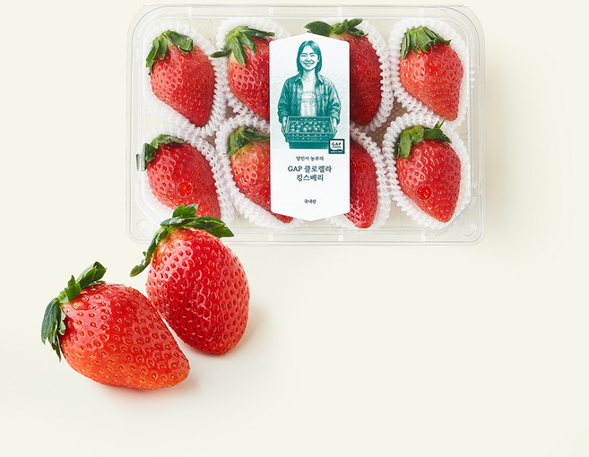 GAP 인증 양인서 농부의 논산 클로렐라 킹스베리, 350g, 1개