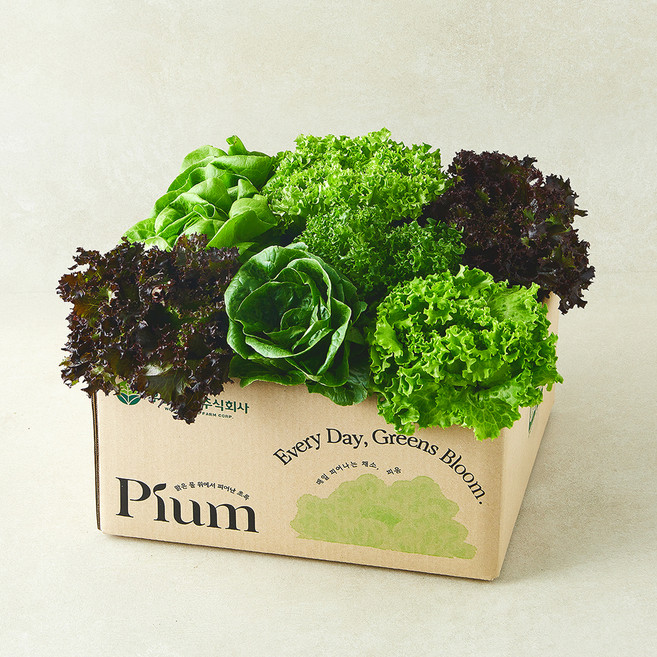 피움 무농약 인증 유러피안 샐러드 꾸러미, 1kg, 1개
