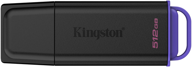 Kingston 金士頓 DataTraveler Exodia USB 3.2 隨身碟 DTXG2, 1個, 512GB