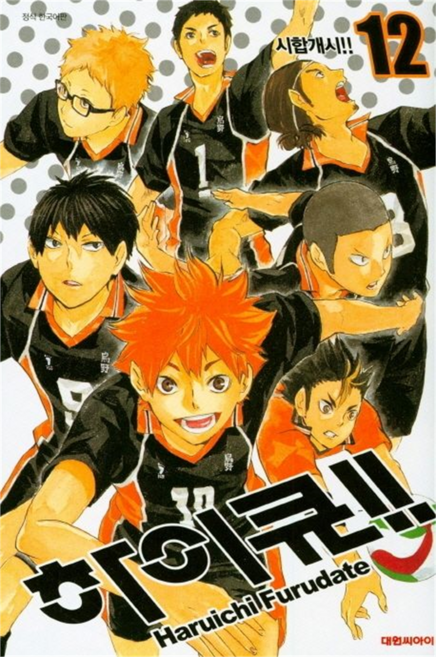 하이큐!!, 대원씨아이, 12권