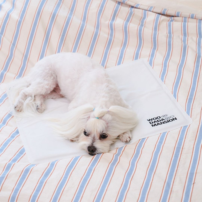 우다다맨숀 반려동물 냉감 쿨매트, 화이트, 1개