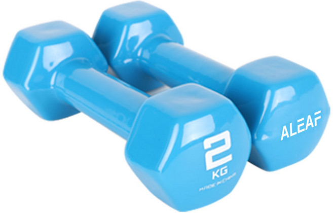 아리프 PVC 컬러 육각 덤벨, 2kg, 2개