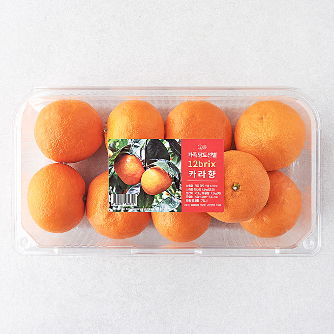 가족 당도선별 12brix 서귀포 카라향, 1.5kg(중과), 1개