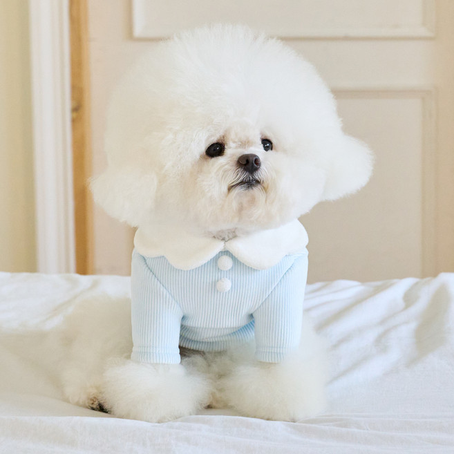 BENNYS 狗狗牛奶泡泡短版T恤, 1個, 天藍色