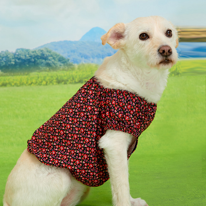 BYC 반려동물 보디드라이 냉장고 파자마 ODB0003, RD(레드), 1개