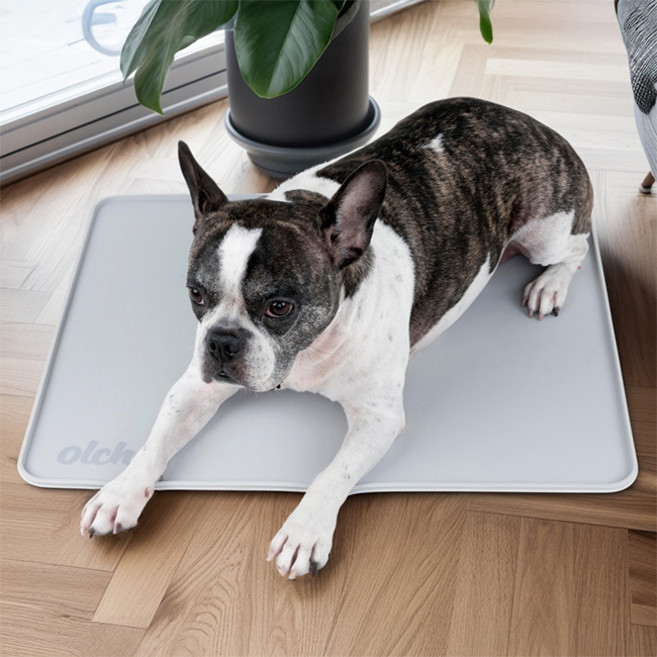 올치 반려동물 실리콘 논슬립 배변매트 oaza-mt6846, 그레이, 1개