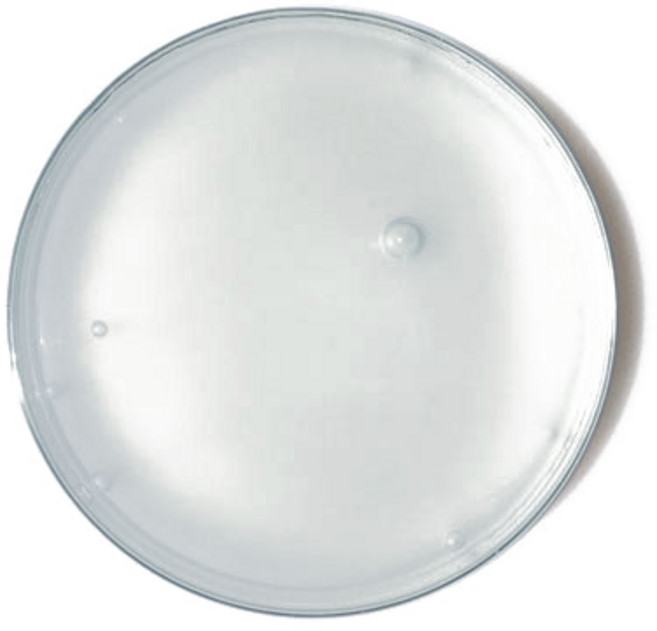 팔레트슬라임 클리어 슬라임 150ml, 투명, 1개