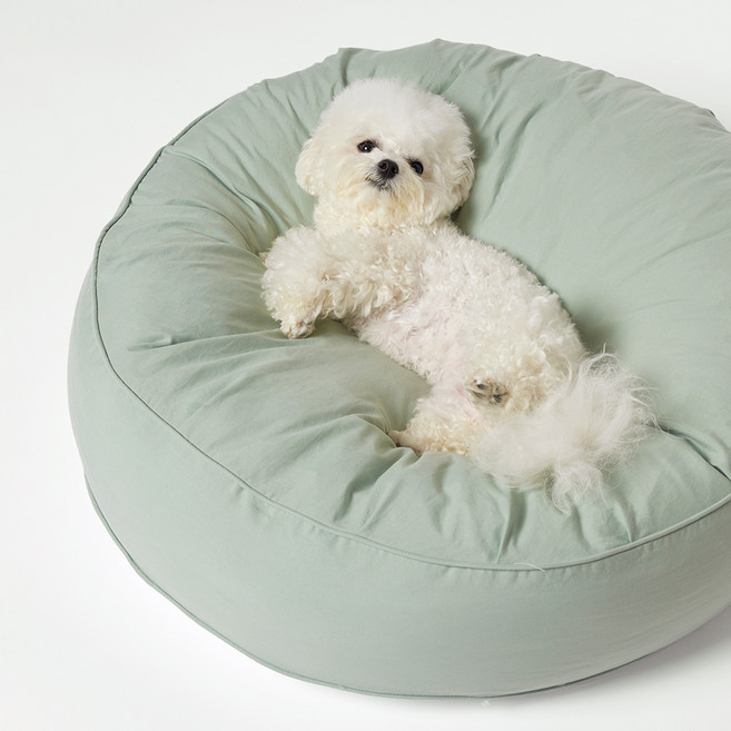 페스텝 반려동물 피치워싱 커버분리 무중력 마카롱 방석, 그린, 1개