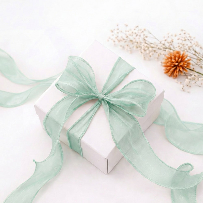 리드홈 오간디 레이스 쉬폰 망사 선물 포장 리본끈 40mm, 민트, 1개, 9m