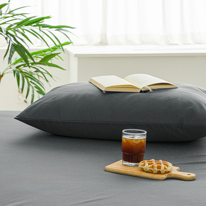 더자리 진드기 차단 방수 베개커버