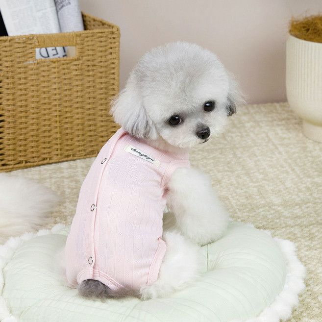 파스텔펫 반려동물 패턴 파스텔 올인원, 핑크, 1개