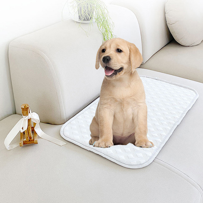 크리벨 반려동물 코오롱 포르페 냉감 쿨매트 스페셜, 화이트, 1개