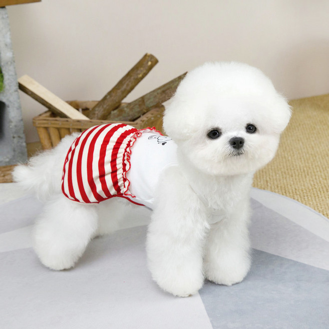 파스텔펫 반려동물 리본 퍼피 올인원, 레드, 1개