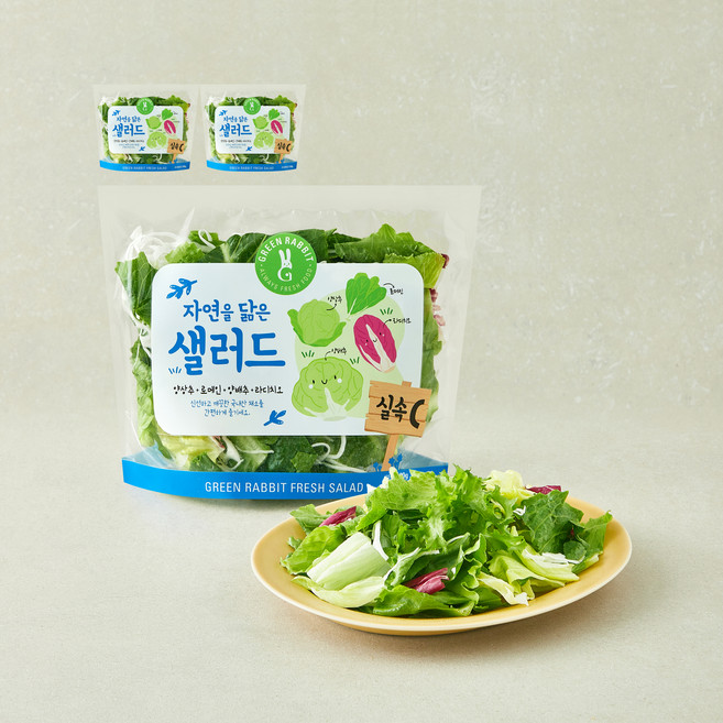 그린래빗 자연을 닮은 샐러드 실속C, 100g, 3개