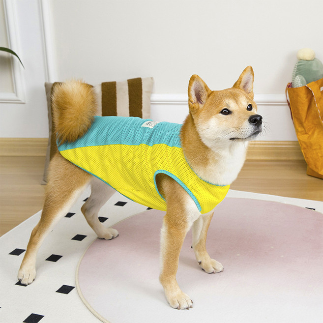 파스텔펫 강아지 중대형견 메쉬 민소매 나시티, 민트, 1개