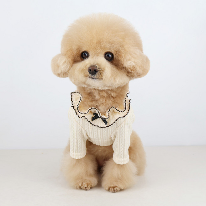 그루밍독 강아지 라떼 리본 티셔츠, 바닐라, 1개