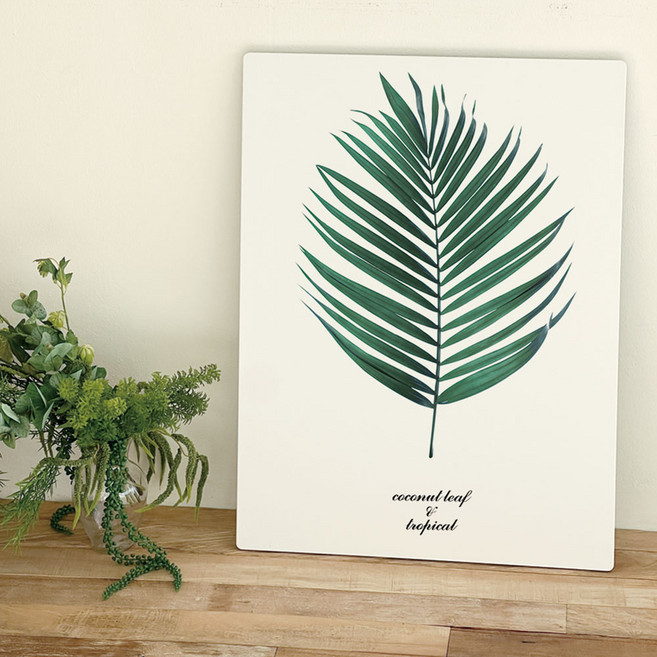 오홀리브 손잡이 액자테이블, 10 코코넛잎