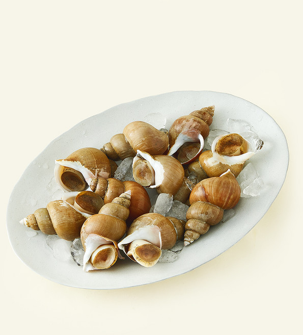 이프로마켓 동해안 새벽바다 백골뱅이 생물 대 (냉장), 800g(대), 1개