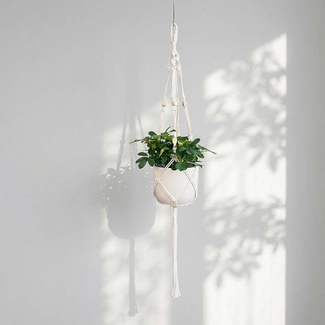 몰투데이 힐링정원 마크라메 인테리어 화분 걸이, A 6, 1개