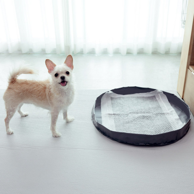 딩동펫 강아지 샘방지 방수 배변 매트, 그레이, 1개