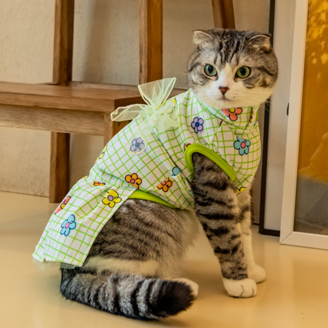 캐츠피아 고양이 페탈 플라워 원피스 CAXA-OP9515, 그린, 1개