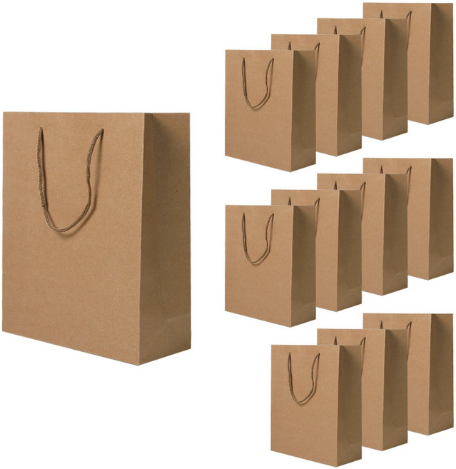 리드홈 튼튼한 크라프트 무지 종이 쇼핑백, 일반형, 12개